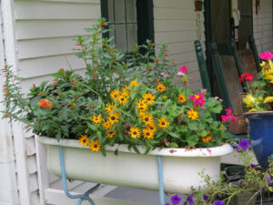 Tub of Flowers