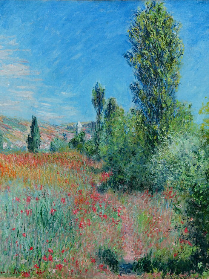 Monet SaintMartin