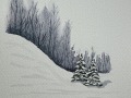 IMG_7793