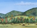 01d Glen Thorne Farm