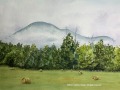 01m fog-rising-wc