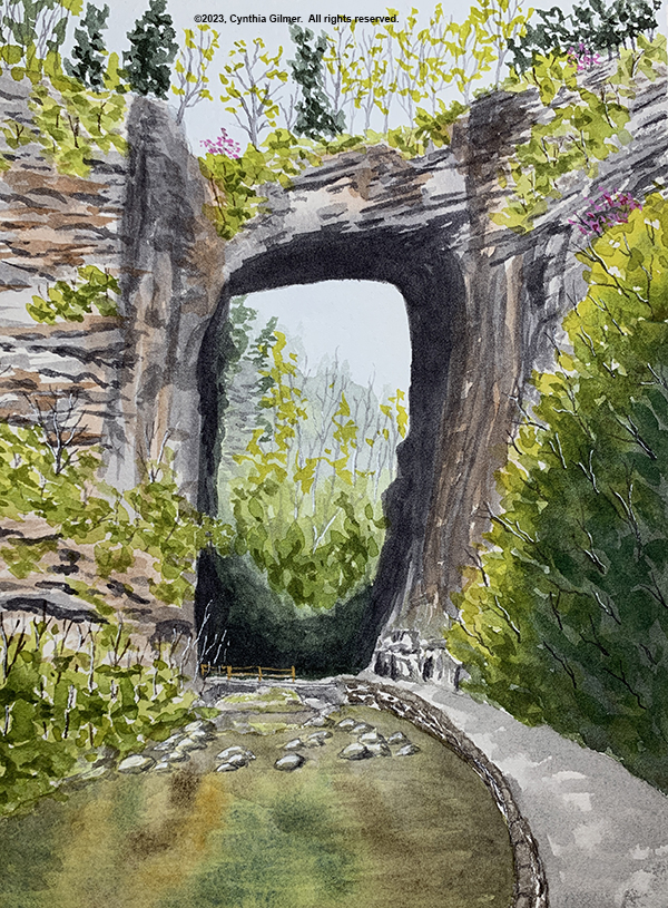 Study 3