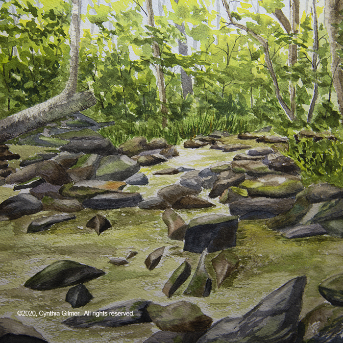 Nature-Hike-Stream