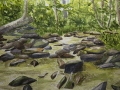 Nature-Hike-Stream