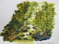 Stream-Study-Little