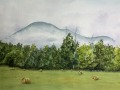 fog-rising-wc
